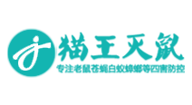 成都貓王滅鼠網站推廣優(yōu)化案例